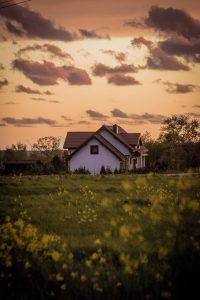 house, meadow, grass-6115719.jpg